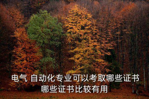  電氣 自動(dòng)化專業(yè)可以考取哪些證書哪些證書比較有用