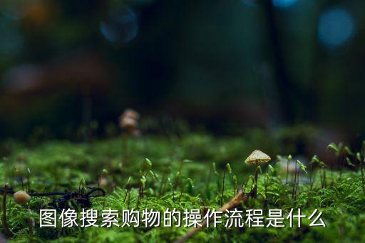 圖像搜索，圖片搜索地圖