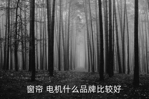 窗簾 電機(jī)什么品牌比較好