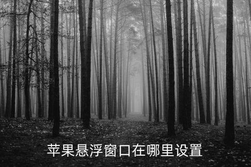 蘋(píng)果懸浮窗口在哪里設(shè)置