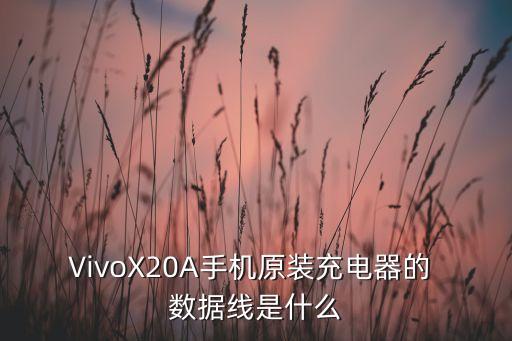 什么閃充數(shù)據(jù)線,66w閃充用什么數(shù)據(jù)線