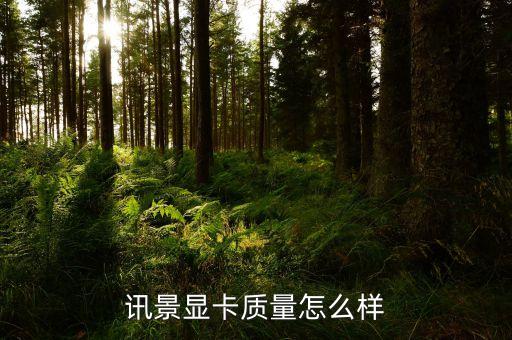 訊景顯卡質(zhì)量怎么樣