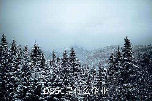 dssc，DSSC是什么企業(yè)