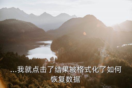 ...我就點(diǎn)擊了結(jié)果被格式化了如何恢復(fù)數(shù)據(jù)