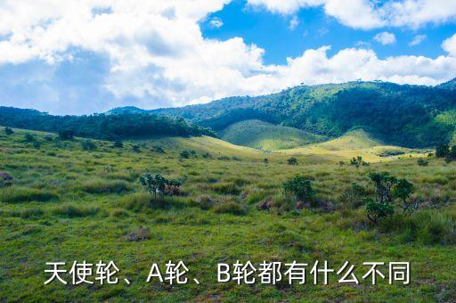 a輪審核數(shù)據(jù),融資中的a輪b輪c輪什么意思啊a輪融資