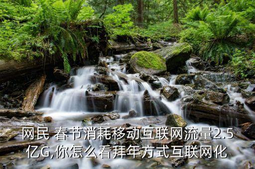 移動(dòng)數(shù)據(jù)春節(jié)
