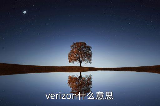 verizon，verizon是什么意思