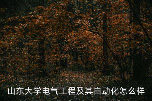 山東大學(xué)電氣工程及其自動(dòng)化怎么樣