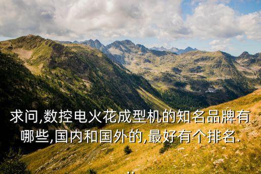 求問,數(shù)控電火花成型機(jī)的知名品牌有哪些,國內(nèi)和國外的,最好有個(gè)排名...