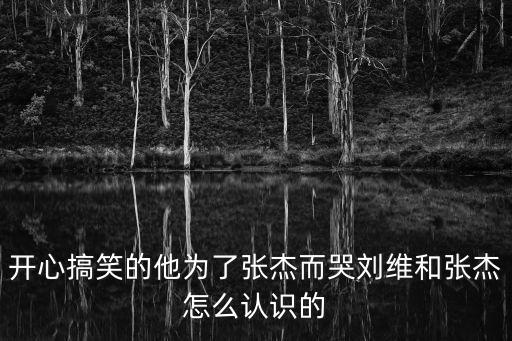 開心搞笑的他為了張杰而哭劉維和張杰怎么認(rèn)識(shí)的