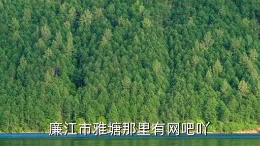 webar，廉江市雅塘那里有網(wǎng)吧吖
