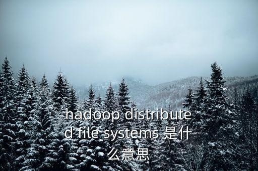 hadoop distributed file systems 是什么意思
