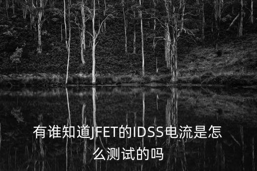 IDSS，IDSS在電學(xué)中代表什么意思