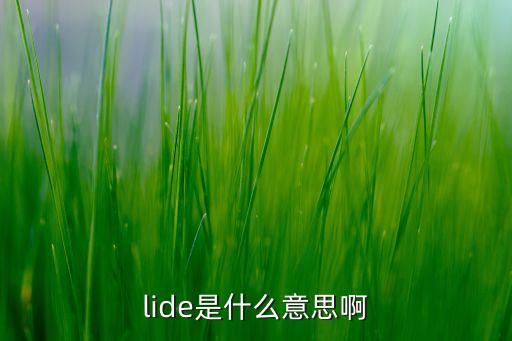 lide是什么意思啊