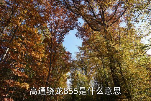 驍龍855處理器怎么樣，高通驍龍855處性能怎么樣哪些手機是