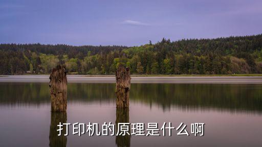 打印機原理，打印機的原理是什么啊