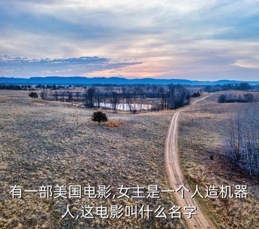 有一部美國電影,女主是一個人造機器人,這電影叫什么名字