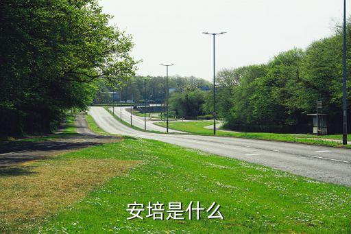 安培，安培定理的具體內(nèi)容是什么