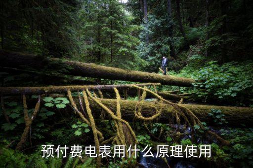預(yù)付費(fèi)電表用什么原理使用
