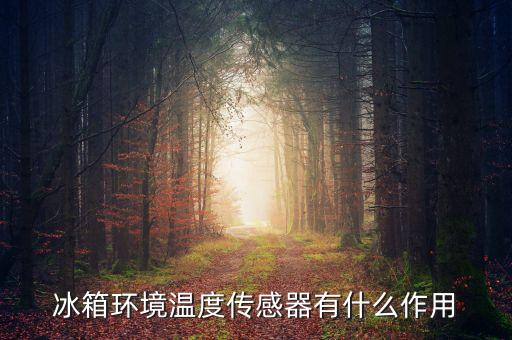 冰箱環(huán)境溫度傳感器有什么作用