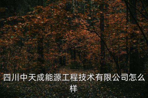 四川中天成能源工程技術(shù)有限公司怎么樣