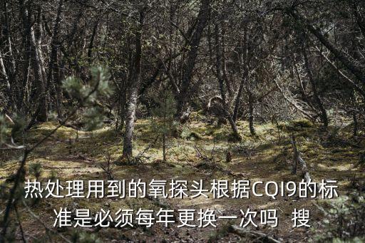 熱處理用到的氧探頭根據(jù)CQI9的標(biāo)準(zhǔn)是必須每年更換一次嗎  搜