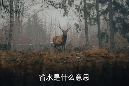 省水是什么意思