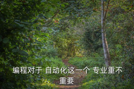  編程對于 自動化這一個 專業(yè)重不重要