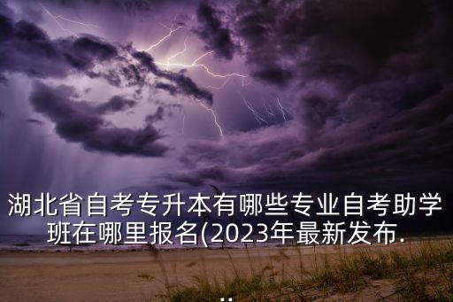湖北省自考專(zhuān)升本有哪些專(zhuān)業(yè)自考助學(xué)班在哪里報(bào)名(2023年最新發(fā)布...