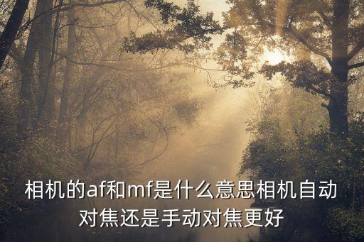 相機(jī)的af和mf是什么意思相機(jī)自動對焦還是手動對焦更好