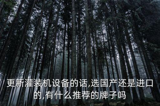 更新灌裝機(jī)設(shè)備的話,選國產(chǎn)還是進(jìn)口的,有什么推薦的牌子嗎
