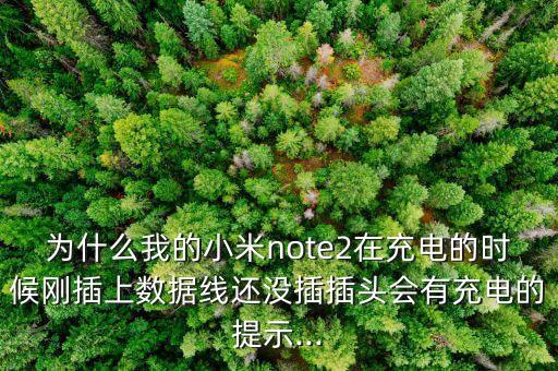 為什么我的小米note2在充電的時候剛插上數(shù)據(jù)線還沒插插頭會有充電的提示...