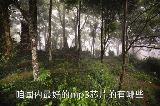 華矽，蘇州矽微電子科技有限公司怎么樣呀急