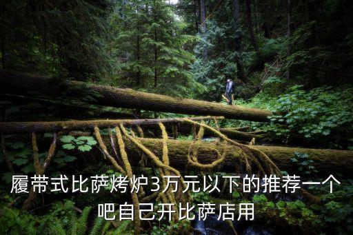 履帶式比薩烤爐3萬元以下的推薦一個吧自己開比薩店用