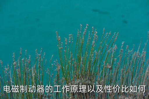 電磁制動器的工作原理以及性價比如何