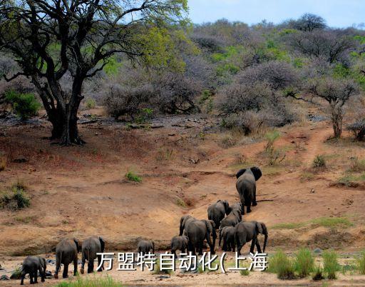 上海貼膜自動化設(shè)備,上海涵逸自動化設(shè)備有限公司怎么樣?