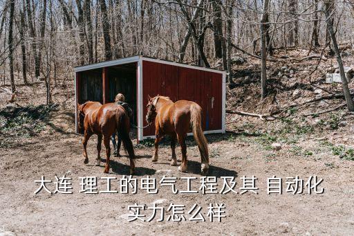  大連 理工的電氣工程及其 自動(dòng)化實(shí)力怎么樣