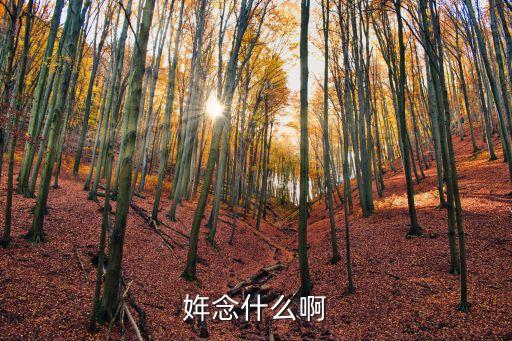VOQ，voq這款智能手機沒有內(nèi)置攝像頭可是有外接攝像頭嗎