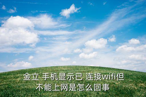 金立手機數(shù)據(jù)連接上不了網(wǎng)