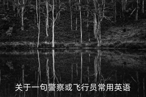 關(guān)于一句警察或飛行員常用英語(yǔ)