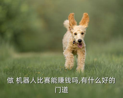 做 機器人比賽能賺錢嗎,有什么好的門道