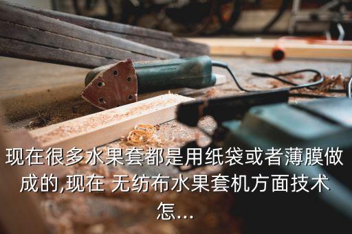 現(xiàn)在很多水果套都是用紙袋或者薄膜做成的,現(xiàn)在 無(wú)紡布水果套機(jī)方面技術(shù)怎...