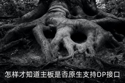 dp接口圖片，怎樣才知道主板是否原生支持DP接口