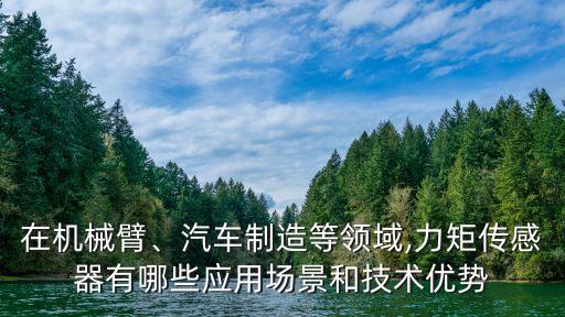 在機(jī)械臂、汽車(chē)制造等領(lǐng)域,力矩傳感器有哪些應(yīng)用場(chǎng)景和技術(shù)優(yōu)勢(shì)