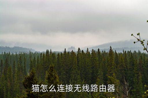 路由器和貓怎么連接，貓怎么連接無線路由器