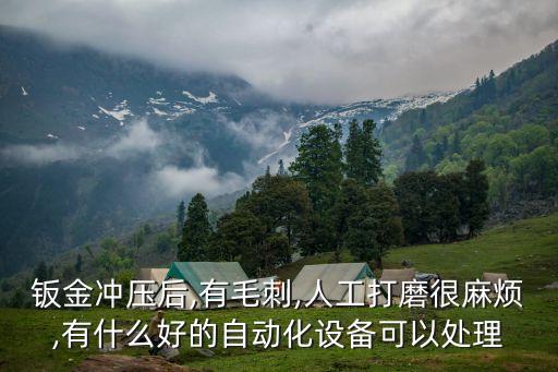 鈑金沖壓后,有毛刺,人工打磨很麻煩,有什么好的自動化設(shè)備可以處理