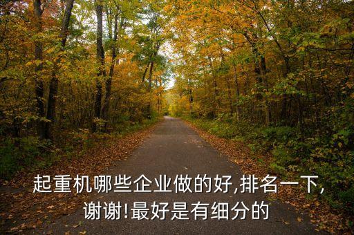  起重機(jī)哪些企業(yè)做的好,排名一下,謝謝!最好是有細(xì)分的