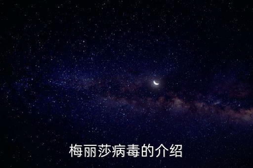 梅麗莎病毒的介紹