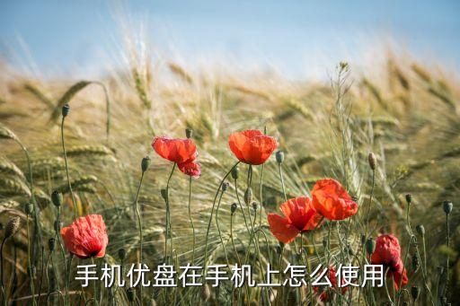 手機優(yōu)盤在手機上怎么使用