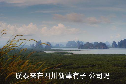 璞泰來在四川新津有子 公司嗎